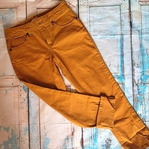 NEW Girls Copper Key pants sz 10